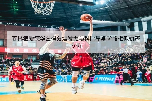 森林狼爱德华兹得分爆发力与科比早期阶段相似轨迹分析