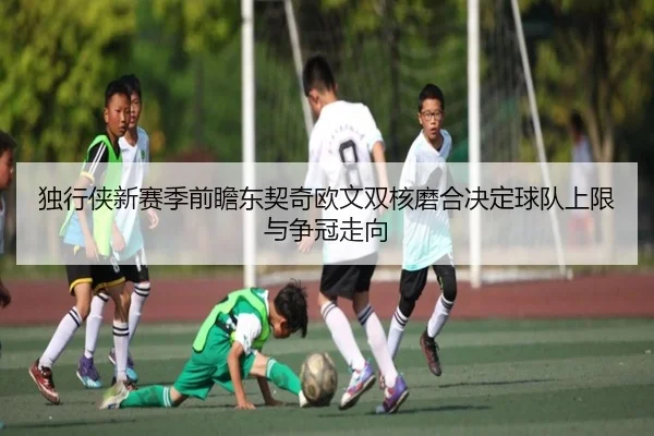 独行侠新赛季前瞻东契奇欧文双核磨合决定球队上限与争冠走向
