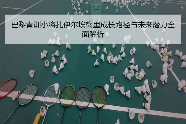 巴黎青训小将扎伊尔埃梅里成长路径与未来潜力全面解析